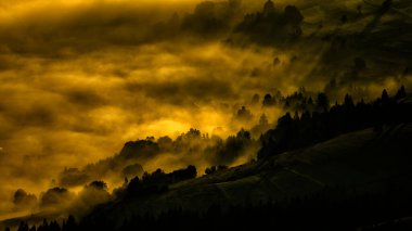 Güneş doğarken gizemli bir orman. Karpat Dağları, Ukrayna.