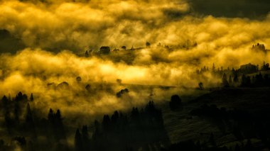 Güneş doğarken gizemli bir orman. Karpat Dağları, Ukrayna.