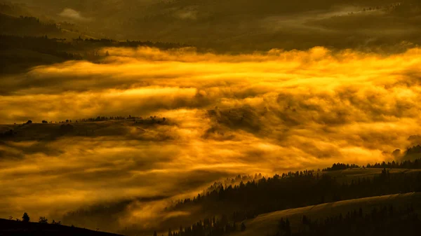 Mysterious Forest Sunrise Carpathian Mountains Ukraine — Fotografia de Stock