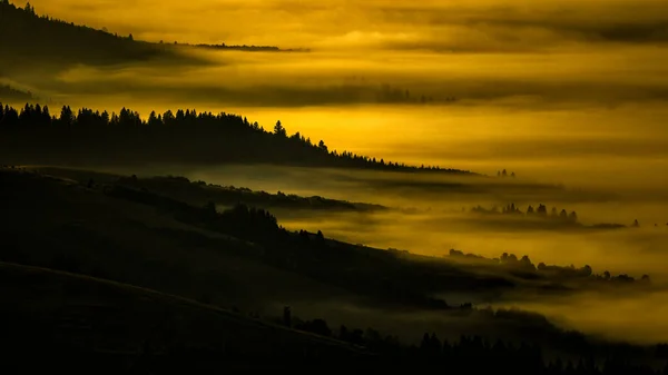 Mysterious Forest Sunrise Carpathian Mountains Ukraine — Fotografia de Stock