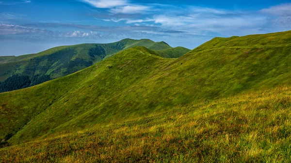Karpatské Hory Ukrajina Letní Pohled Zelenou Horskou Louku Polonina Boršava — Stock fotografie