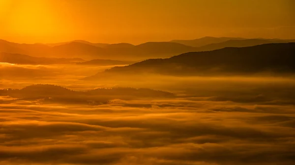 Najlepszy Górski Wschód Słońca Góry Karpackie Gorgany Ukraina — Zdjęcie stockowe