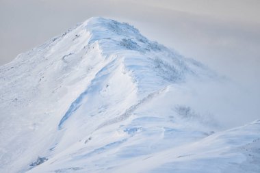 Dağların göz kamaştırıcı manzarası. Polonina Wetlinska. Bieszczady Ulusal Parkı, Karpatlar, Polonya.