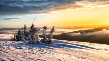 Dağların çarpıcı kış manzarası. Bieszczady Ulusal Parkı, Karpatlar, Polonya.