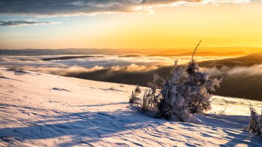 Dağların çarpıcı kış manzarası. Bieszczady Ulusal Parkı, Karpatlar, Polonya.