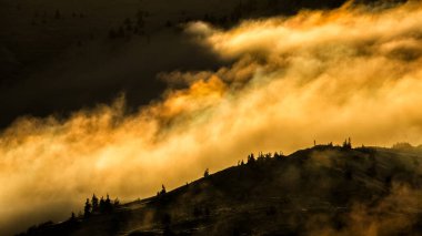 Dağların çarpıcı kış manzarası. Bieszczady Ulusal Parkı, Karpatlar, Polonya.