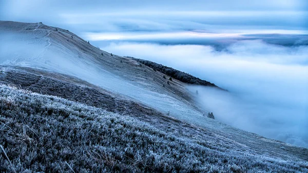 Ködös Téli Reggel Hegyekben Bieszczady Nemzeti Park Kárpátok Lengyelország — Stock Fotó