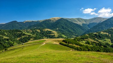 Yeşil bir dağ çayırında güneşli bir gün. Gorgany sıradağları, Karpatlar, Ukrayna.