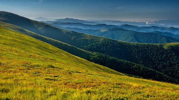 カルパティア山脈 ウクライナ 緑の山の牧草地の夏のビュー Polonina Borshava — ストック写真