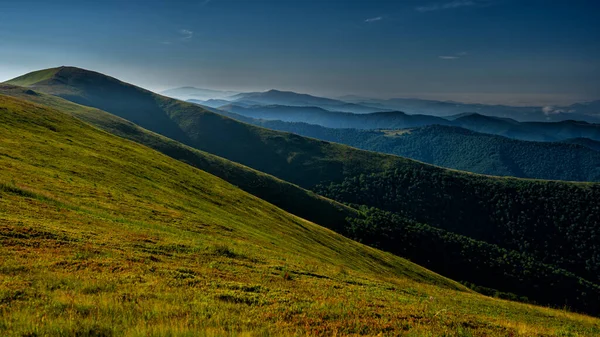 Les Carpates Ukraine Vue Estivale Pré Verdoyant Montagne Polonina Borshava — Photo