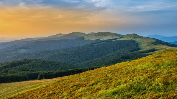 緑の山の牧草地で晴れた日 Bieszczady山脈 カルパティア ウクライナ — ストック写真