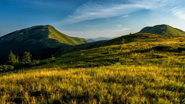 緑の山の牧草地で晴れた日 ゴルガニー山脈 カルパティア山脈 ウクライナ — ストック写真
