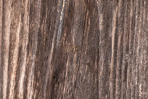 Old Wood Plank Texture Background — Stock Photo, Image