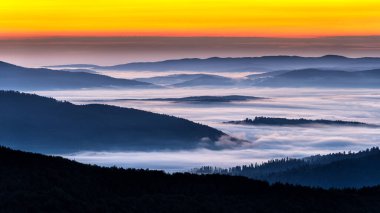 Gün doğumunda karanlık, sisli bir orman. Arkadaki ağaçlar. Bieszczady Ulusal Parkı, Karpatlar, Polonya