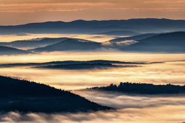 Gün doğumunda karanlık, sisli bir orman. Arkadaki ağaçlar. Bieszczady Ulusal Parkı, Karpatlar, Polonya