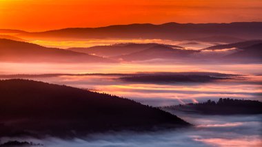 Gün doğumunda karanlık, sisli bir orman. Arkadaki ağaçlar. Bieszczady Ulusal Parkı, Karpatlar, Polonya