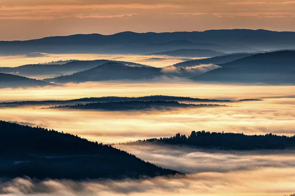 Sötét Ködös Erdő Napkeltekor Fák Hátsó Fényben Bieszczady Nemzeti Park — Stock Fotó