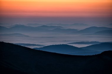 Gün doğumunda karanlık, sisli bir orman. Arkadaki ağaçlar. Bieszczady Ulusal Parkı, Karpatlar, Polonya
