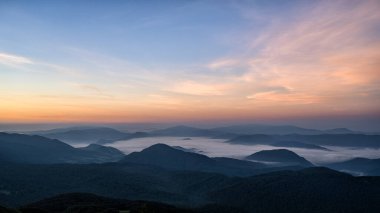 Gün doğumunda karanlık, sisli bir orman. Arkadaki ağaçlar. Bieszczady Ulusal Parkı, Karpatlar, Polonya