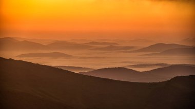 Gün doğumunda karanlık, sisli bir orman. Arkadaki ağaçlar. Bieszczady Ulusal Parkı, Karpatlar, Polonya