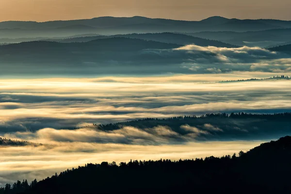 Dark Foggy Forest Sunrise Trees Back Light Bieszczady National Park — Stockfoto