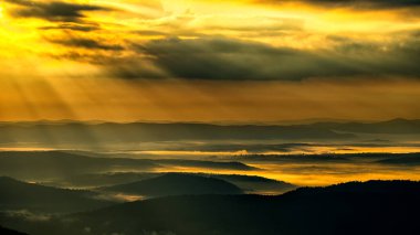 Güneşin doğuşunda gizemli ve sisli orman ve dağlar. Arkadaki ağaçlar. Bieszczady Ulusal Parkı, Karpatlar, Polonya