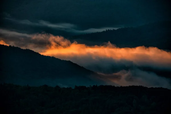Tajemniczy Mglisty Las Góry Wschodzie Słońca Drzewa Tylnym Świetle Park — Zdjęcie stockowe