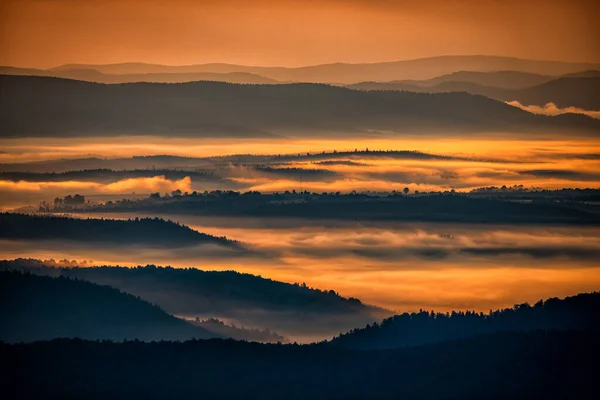 Dark Foggy Forest Sunrise Trees Back Light Bieszczady National Park — Stockfoto