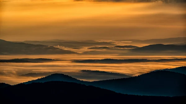 Таинственный Туманный Лес Горы Рассвете Деревья Заднем Свету Национальный Парк — стоковое фото