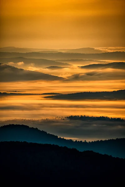 Forêt Mystérieuse Brumeuse Montagnes Lever Soleil Les Arbres Dans Lumière — Photo