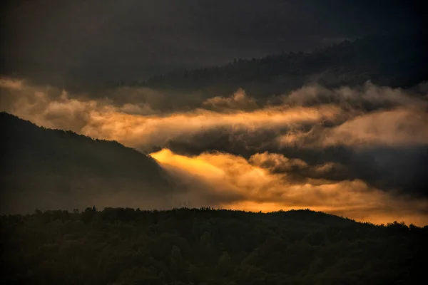 Floresta Misteriosa Nebulosa Montanhas Nascer Sol Árvores Luz Das Traseiras — Fotografia de Stock