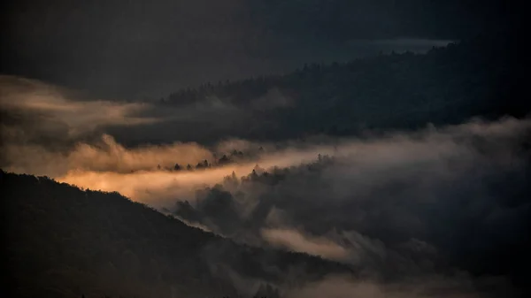 어둡고 안개가 불빛에 나무들 Polonina Carynska 태양이 떠오릅니다 Bieszczady National — 스톡 사진