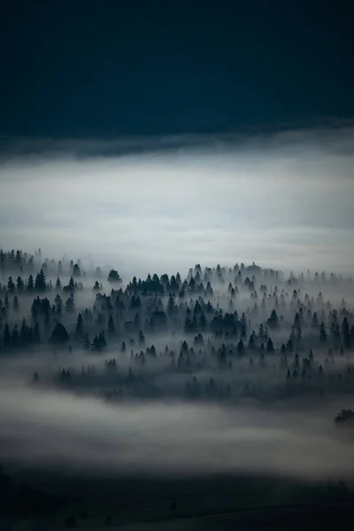 Bieszczady National Park Carpathians Poland Mysterious Foggy Forest Mountains Sunrise — Fotografia de Stock