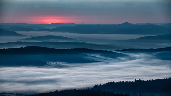 어둡고 안개가 불빛에 나무들 Bieszczady National Park Carpathians Poland — 스톡 사진