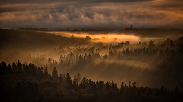 Bieszczady National Park Carpathians Poland Mysterious Foggy Forest Mountains Sunrise — Stock Photo, Image