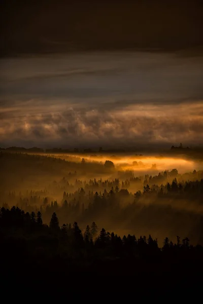 Misterioso Bosque Niebla Montañas Amanecer Los Árboles Luz Atrás Parque — Foto de Stock