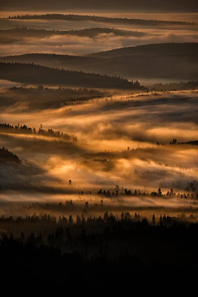 Bieszczady Nemzeti Park Kárpátok Lengyelország Rejtélyes Ködös Erdő Hegyek Napkeltekor — Stock Fotó