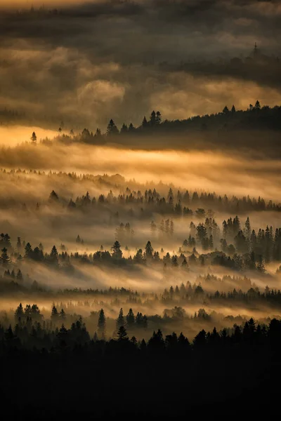Bieszczady National Park Carpathians Poland Mysterious Foggy Forest Mountains Sunrise — Stockfoto
