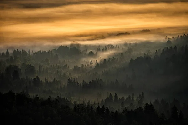 Geheimnisvoller Nebelwald Und Berge Bei Sonnenaufgang Die Bäume Gegenlicht Bieszczady — Stockfoto