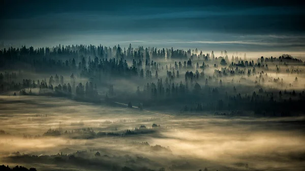 Mysterious Forest Mountains Sunrise Trees Back Light Bieszczady National Park — Fotografia de Stock