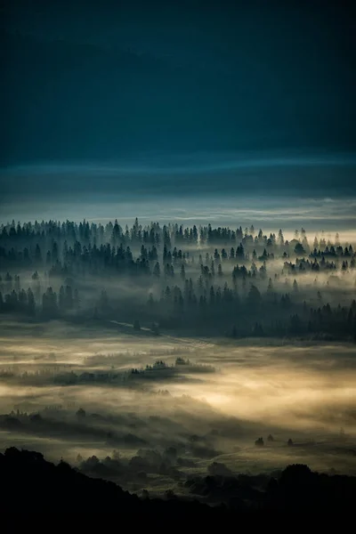 Mysterious Forest Mountains Sunrise Trees Back Light Bieszczady National Park — Fotografia de Stock