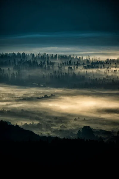 Bosque Misterioso Montañas Amanecer Los Árboles Luz Atrás Parque Nacional —  Fotos de Stock