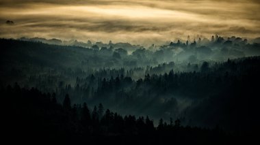 Güneş doğarken gizemli orman ve dağlar. Arkadaki ağaçlar. Bieszczady Ulusal Parkı, Karpatlar, Polonya