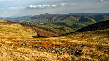Dağ çayırında ilkbaharın başlarında. Polonina Wetlinska, Bieszczady Ulusal Parkı, Karpatlar, Polonya.