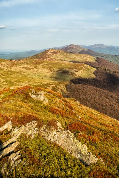 Early Spring Mountain Meadow Polonina Wetlinska Bieszczady National Park Carpathians — Fotografia de Stock