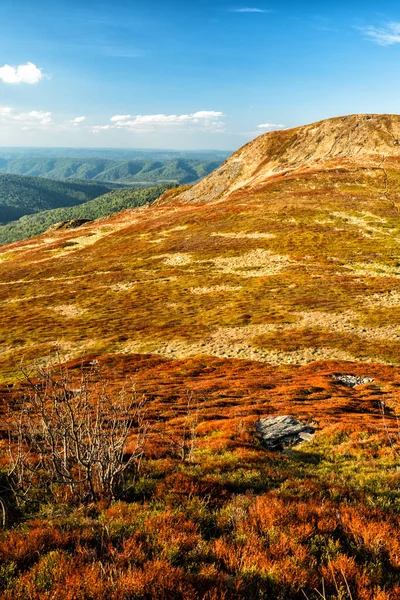 Vroeg Lente Bergweide Polonina Wetlinska Nationaal Park Bieszczady Karpaten Polen — Stockfoto