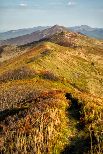 Early Spring Mountain Meadow Polonina Wetlinska Bieszczady National Park Carpathians — Foto Stock