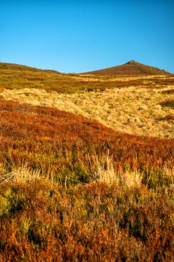 Dağ çayırında ilkbaharın başlarında. Polonina Carynska, Bieszczady Ulusal Parkı, Karpatlar, Polonya.