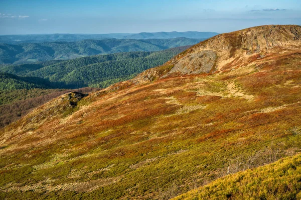 초원의 봄입니다 Polonina Wetlinska Bieszczady National Park Carpathians Poland — 스톡 사진