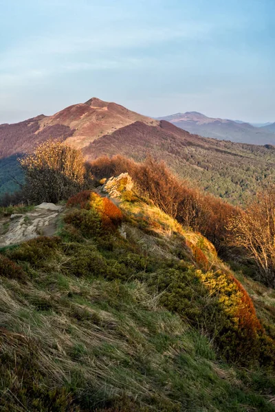 Wczesna Wiosna Górskiej Łące Polonina Wetlinska Bieszczadski Park Narodowy Karpaty — Zdjęcie stockowe